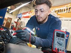 瓜达卢佩Jaramillo